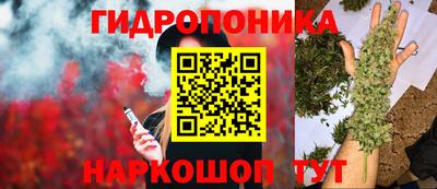 mix Заводоуковск