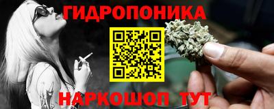 шишки Абакан
