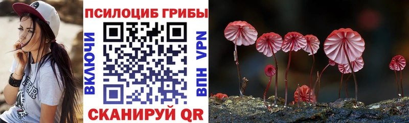 купить наркоту  Нарткала  Галлюциногенные грибы мухоморы 