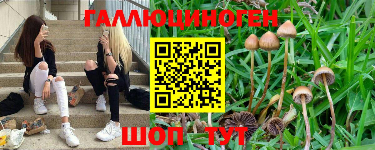 Галлюциногенные грибы GOLDEN TEACHER Нарткала