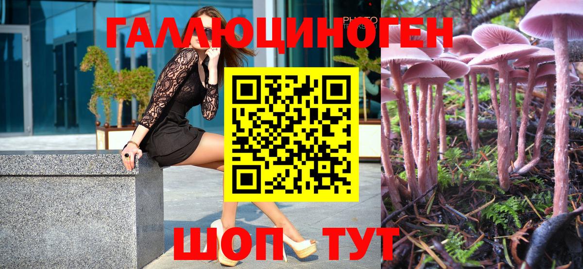 Нарткала  где найти   Вход с VPN  Псилоцибиновые грибы Magic Shrooms 
